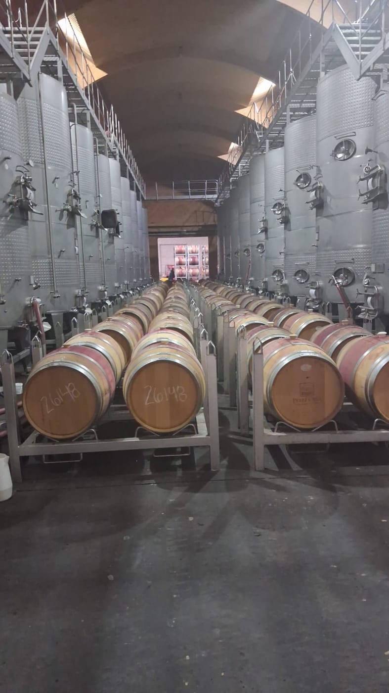 Bodega de barricas de viña con iluminación
